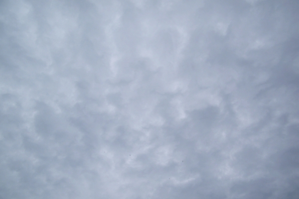 rs-1024x768-3591652570-E87C-DD55-5D34-44F983DF47A2.jpg