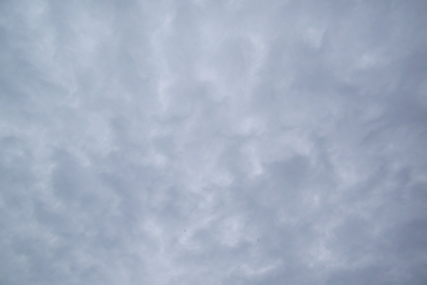 rs1280x1024-3956BAB62-A10A-D058-463E-E41ACBDCCA1F.jpg