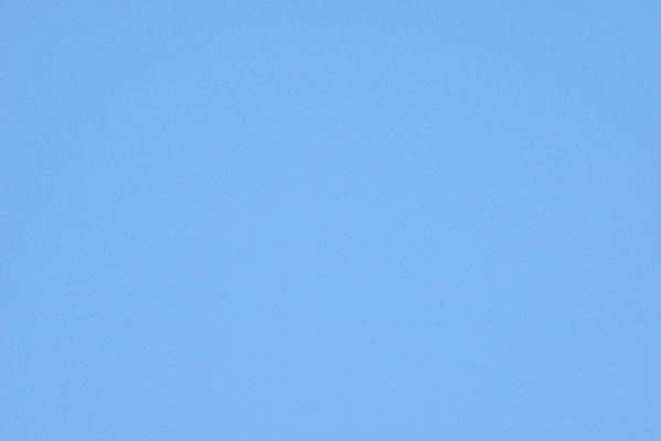 sab-1024x768DDA8DBD4-6044-A6C5-F772-75DB4F9E633E.jpg