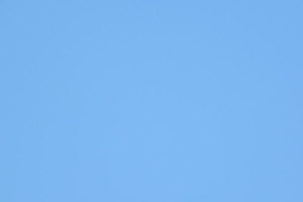 sab1280x1024-1315092613-8984-7ADF-4343-FCA0DC33902D.jpg