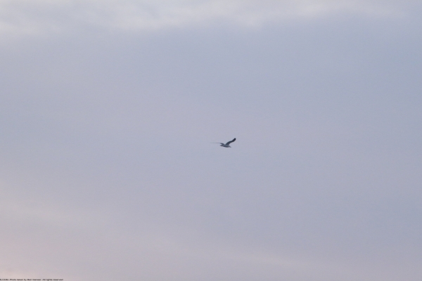 sab3840x2160-10B12E8646-5C22-A545-EF87-86324A5F9C1E.jpg