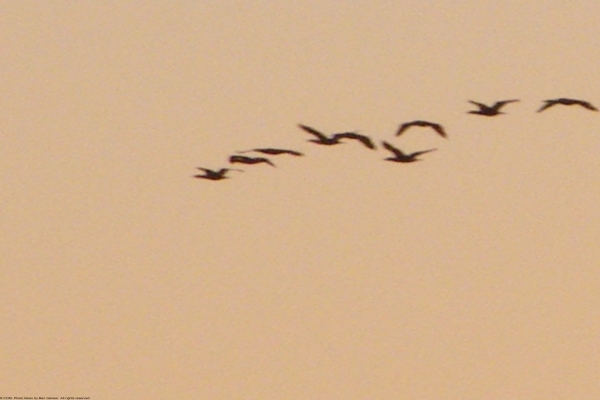sab3840x2160-235A15D0C0-9498-97A8-AE79-ABE94821D7B0.jpg