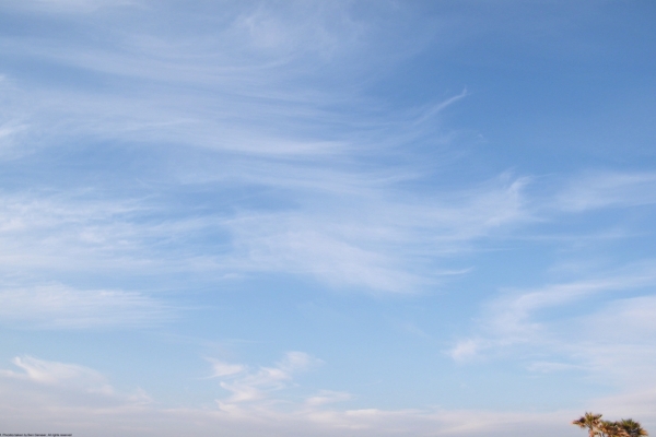 sal1366x768-194788D2D-CDA5-38B6-D6A4-F247FBA3A1C9.jpg