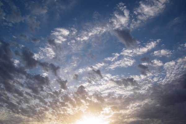 s1280x1024-1700881504-A9DE-6952-C556-0C5DD0E994F7.jpg