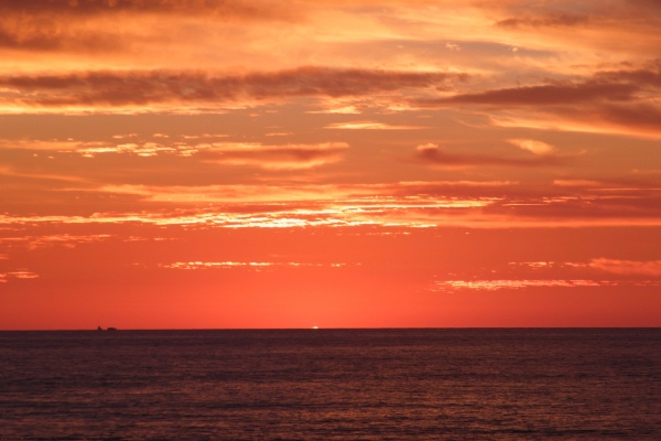 s1920x1080-461B8E1025-AECD-28AF-EE7F-E169615041D8.jpg